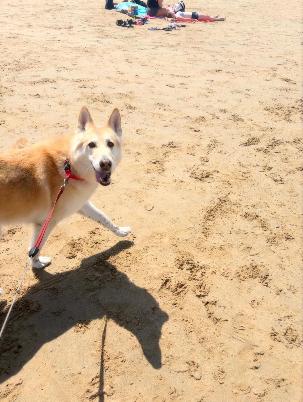 A sunny stroll along the beach