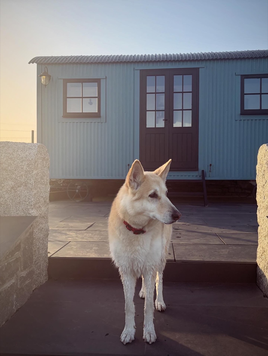 Golden hour after a long walk