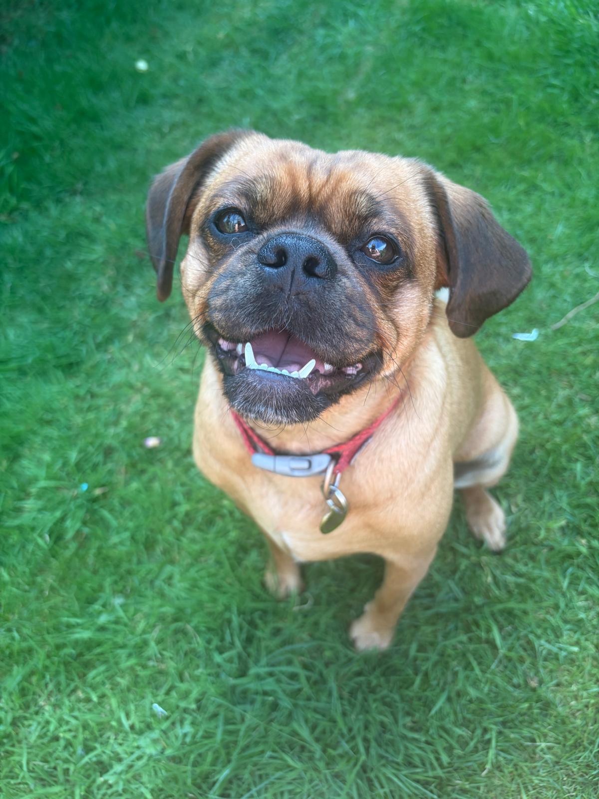 All smiles in the garden