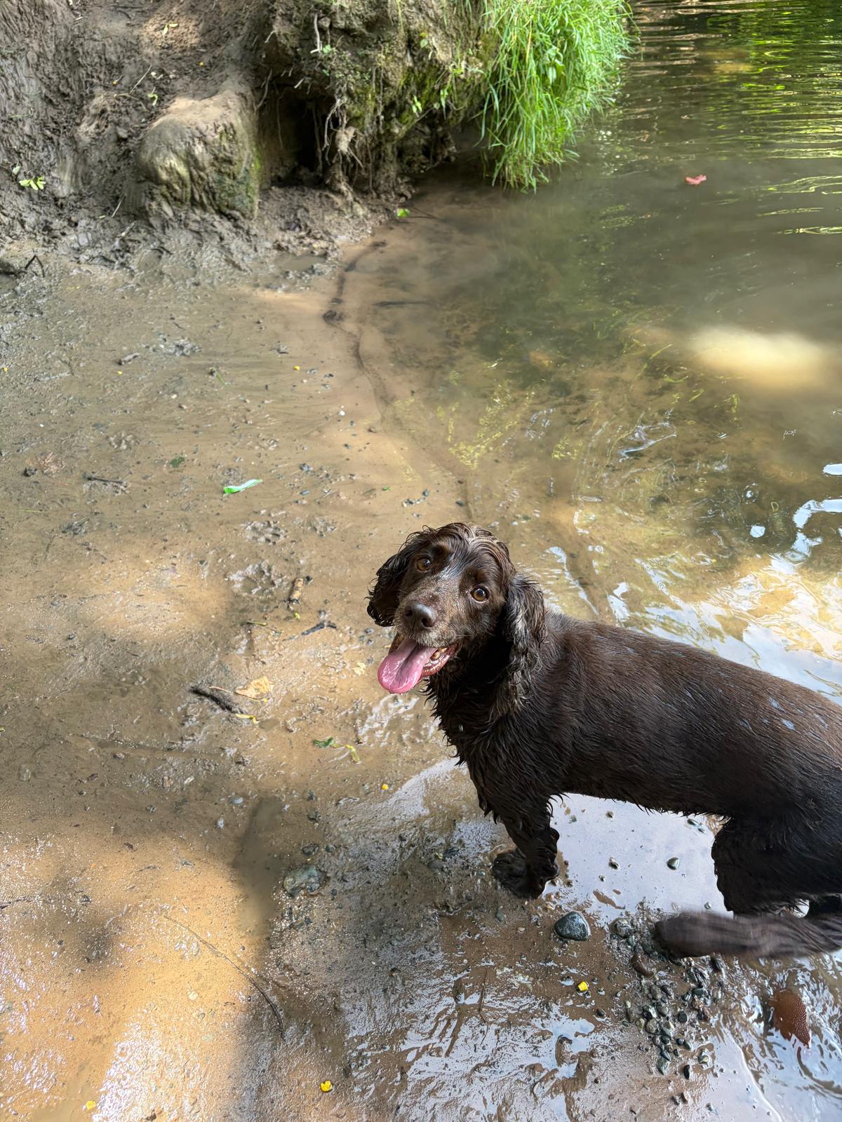Making a splash in the river