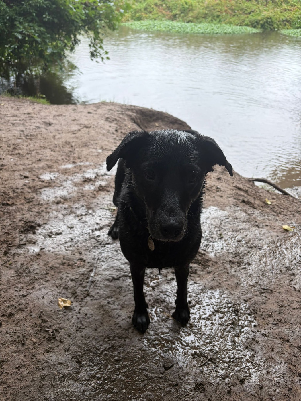 Muddy adventures by the river