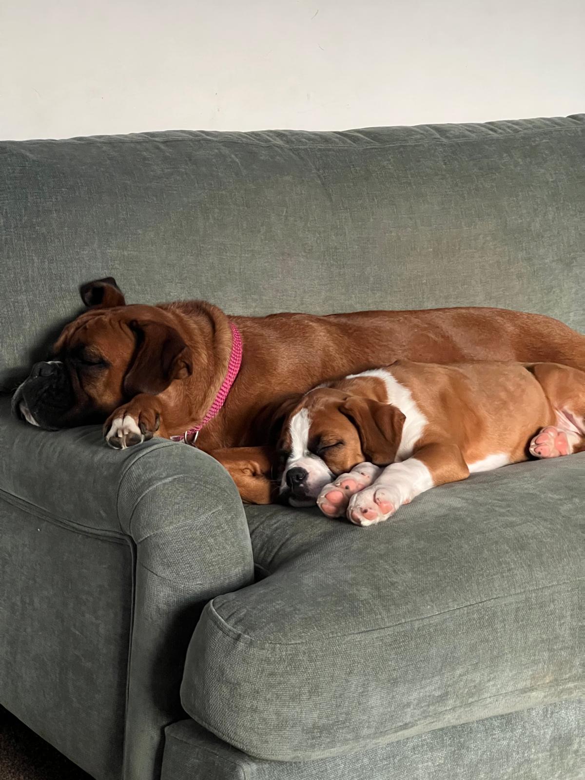 Sofa cuddles after a big day